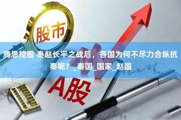 腾思控股 秦赵长平之战后，各国为何不尽力合纵抗秦呢？_秦国_国家_赵国