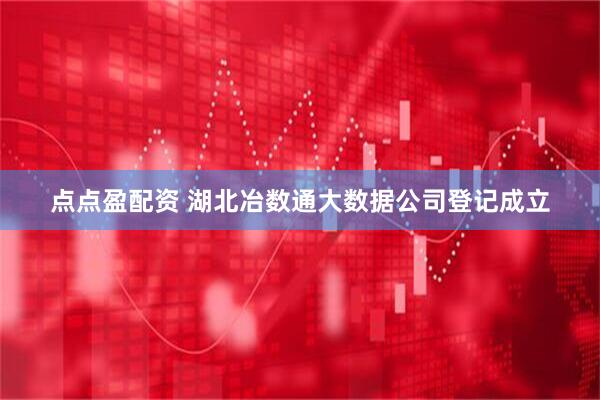 点点盈配资 湖北冶数通大数据公司登记成立