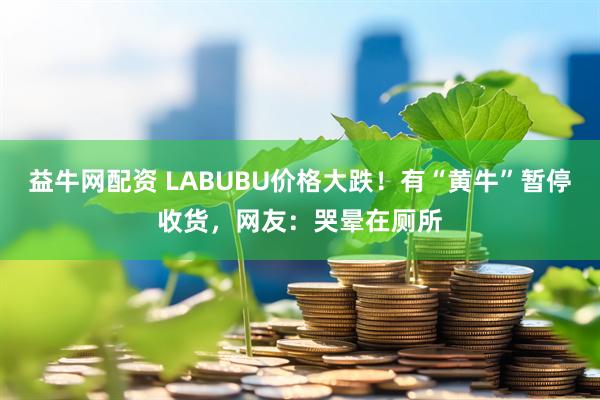 益牛网配资 LABUBU价格大跌！有“黄牛”暂停收货，网友：哭晕在厕所